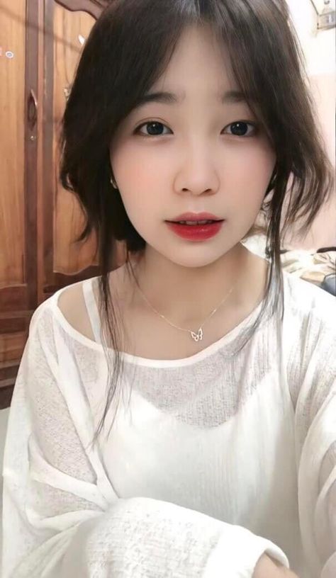 蛇蝎夜合花